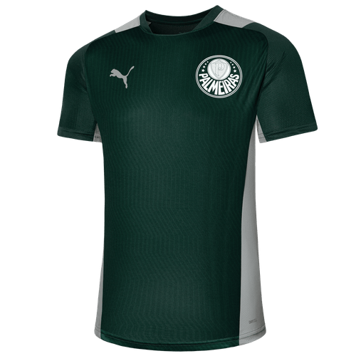 Camisa Treino Palmeiras Puma 22/23