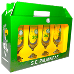 Taca-Cerveja-Floripa-300-Ml-Palmeiras