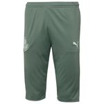 Calca-Capri-Puma-Verde-Laurel-2021