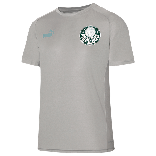 Camiseta Casual Palmeiras Puma 23/24