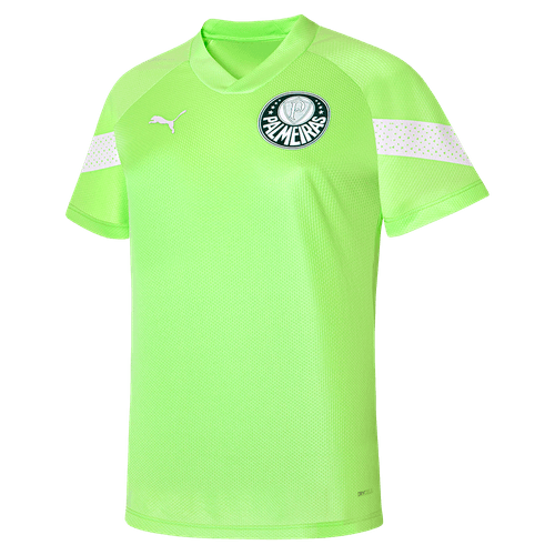 Camisa Treino Palmeiras Puma