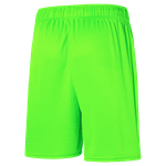 Short-Goleiro-II-Palmeiras-Puma-23-24---Infantil
