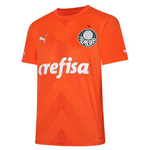 Camisa Goleiro III Palmeiras Puma 23/24