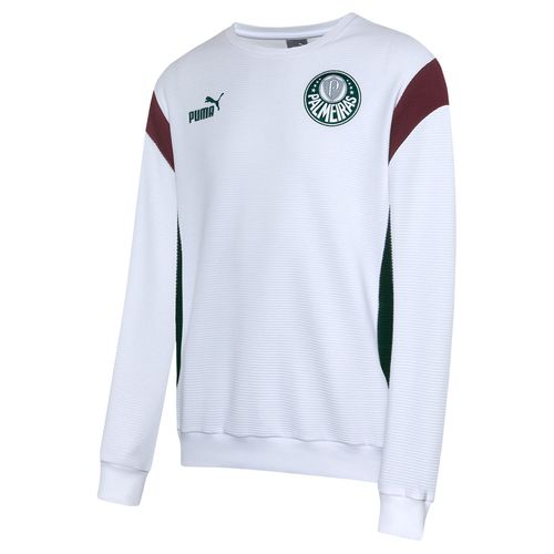 Moletom Palmeiras Puma 23/24