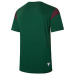 Camisa-Pre-Jogo-Palmeiras-Puma-23-24---Verde---3GG