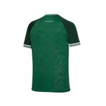 Camisa-Masculina-Palmeiras-Champion-Rsm