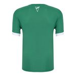Camisa-Masculina-Palmeiras-Winner