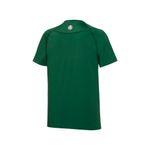 T-Shirt-Masculina-Palmeiras-Speed