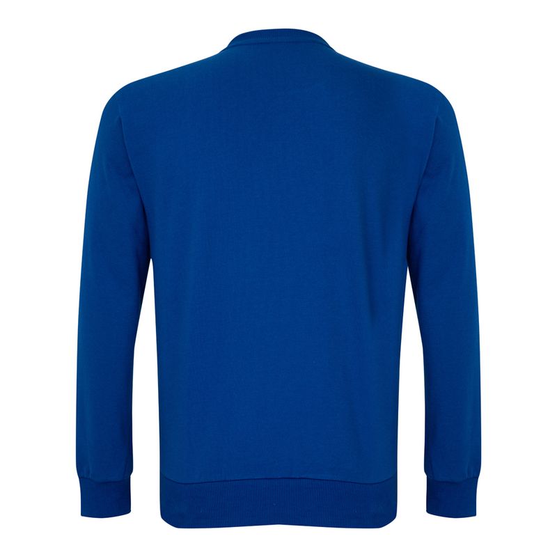 Blusa-Moletom-Masculina-Palmeiras-Champion