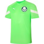 Camisa-Treino-Palmeiras-Puma-23-24