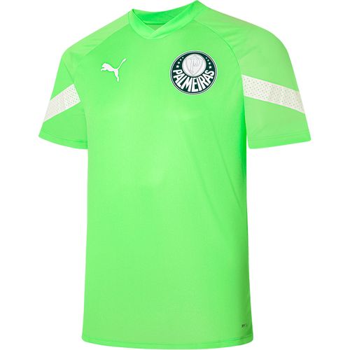 Camisa Treino Palmeiras Puma 23/24