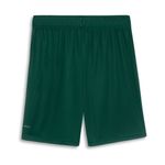 Short-Palmeiras-Puma-III-23-24-Torcedor