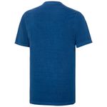 Camisa-Masc-Palmeiras-Azul