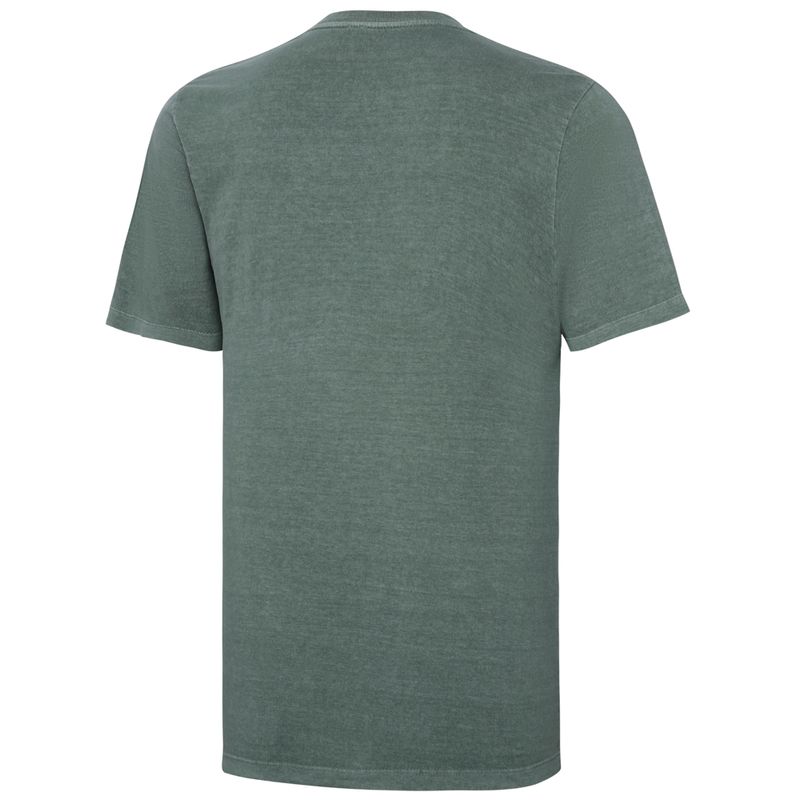 Camisa-Masculino-Palmeiras-Verde-
