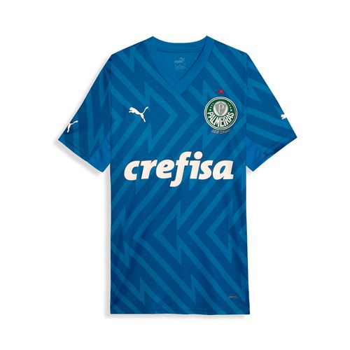 Camisa Goleiro I Palmeiras Puma 24/25 Torcedor