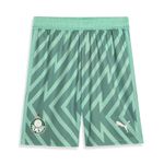 Short-Goleiro-II-Palmeiras-Puma-24-25---Jogador
