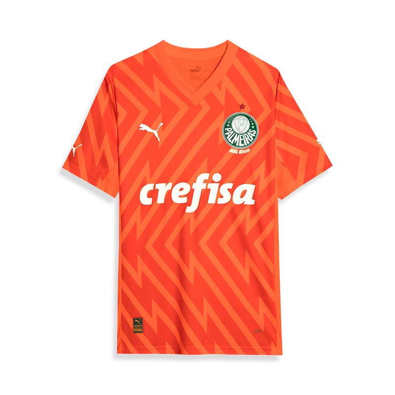 Camisa-Goleiro-III-Palmeiras-Puma-24-25-Jogador