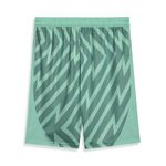 Short-Goleiro-II-Palmeiras-Puma-24-25---Jogador