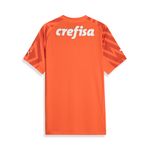 Camisa-Goleiro-III-Palmeiras-Puma-24-25-Jogador