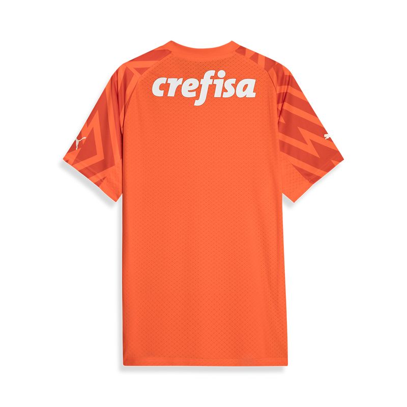 Camisa-Goleiro-III-Palmeiras-Puma-24-25-Jogador