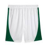 Short-Palmeiras-Puma-I-24-25-Torcedor