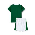 Mini-Kit-Palmeiras-Puma-I-24-25---Torcedor