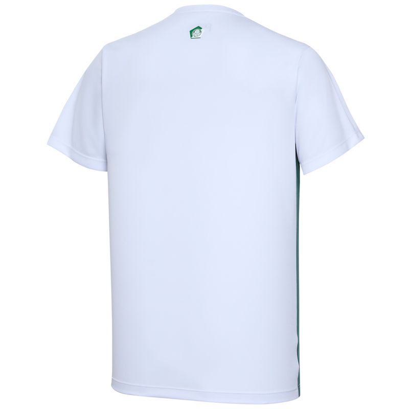 Camisa-Palmeiras-Player-II-Masculino