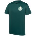 Camisa-Palmeiras-Player-II-Masculino