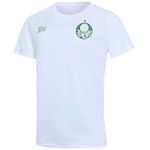 Camisa-Palmeiras-1914-II-Juvenil