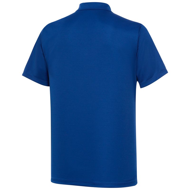 Polo-Palmeiras-Away-II-Masculina
