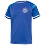 Camisa-Palmeiras-Goalkeeper-III-Juvenil