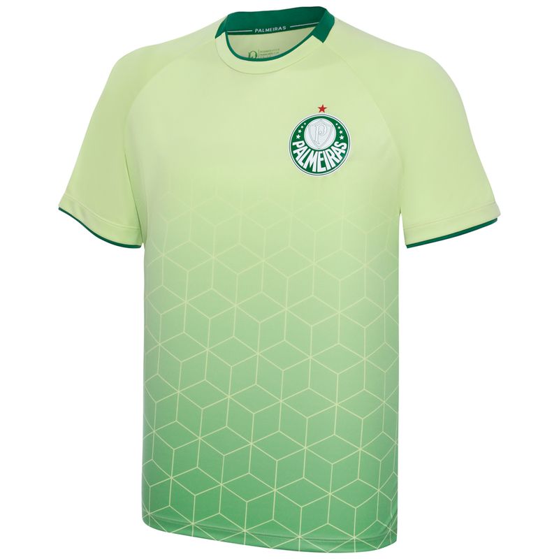Camisa-Palmeiras-Power-II-Masculina