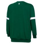 Blusa-Moletom-Palmeiras-Retro-1951-Masculina