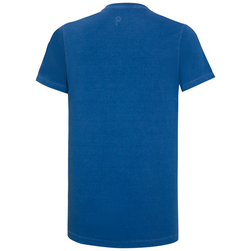 Camisa-Palmeiras-Manuscrita-Masculina