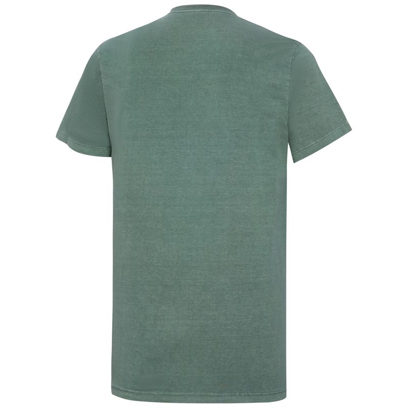 Camisa-Palmeiras-Brasileiro-1973-Masculina