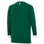 Camisa-Ml-PalmeiraS-Retro-Tri-Masculina