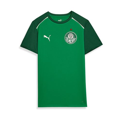 Camisa Casual Palmeiras Puma 24/25