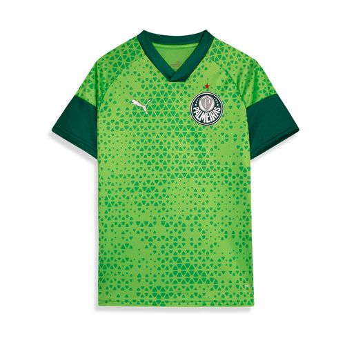 Camisa Treino e Viagem Palmeiras Puma 24/25 - Infantil Torcedor