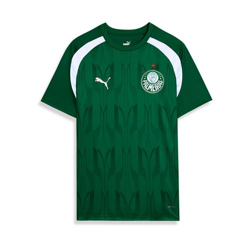 Camisa Pré-Jogo Palmeiras Puma 24/25