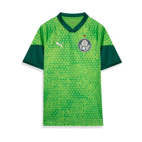 Camisa Treino Palmeiras Puma 24/25 Torcedor