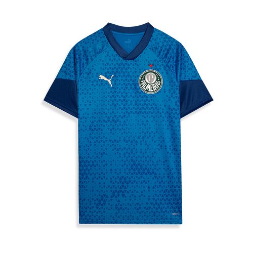 Camisa Treino Palmeiras Puma 24/25 Torcedor