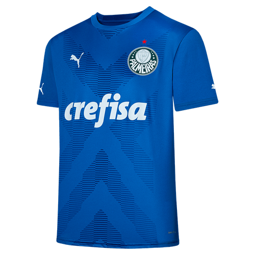 Camisa Goleiro I Palmeiras Puma 23/24