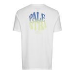 Tshirt-Masculino-Palmeiras-Palestra-1914