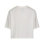 Tshirt-Masculino-Palmeiras-Palestra-1914