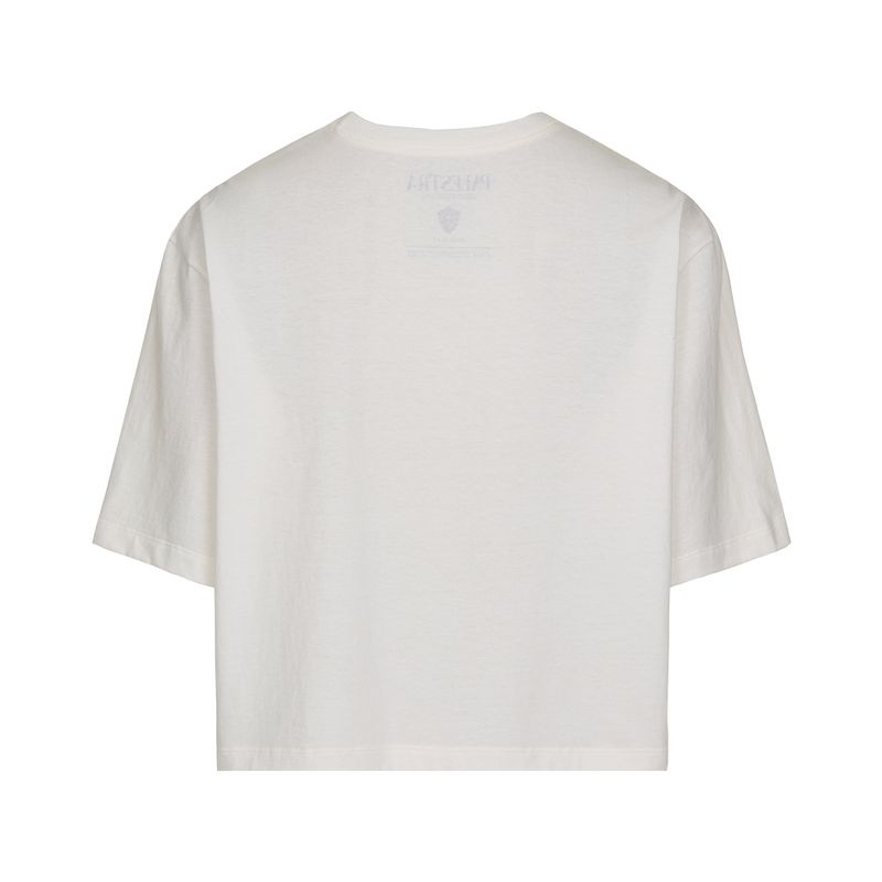 Tshirt-Masculino-Palmeiras-Palestra-1914