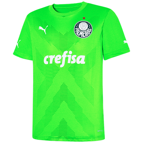 Camisa Palmeiras Puma Goleiro II 23/23 Infantil