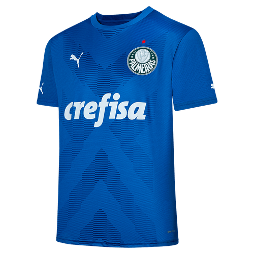 Camisa Goleiro Palmeiras Puma 23/24