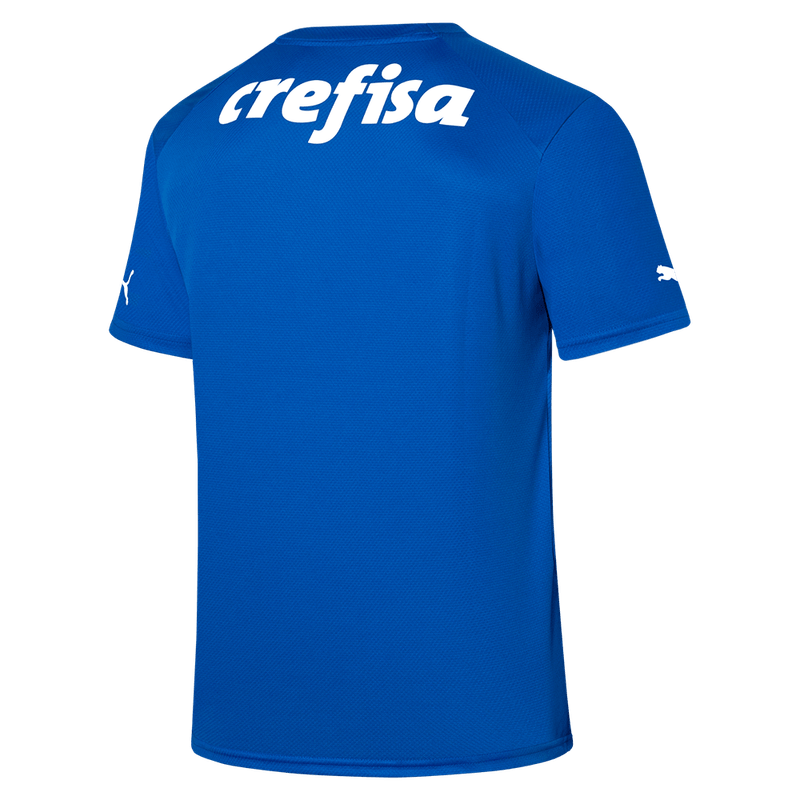 Camisa Palmeiras Puma-1738070192244