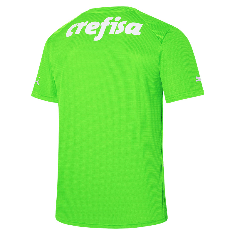 Camisa Palmeiras Puma-1739075773581