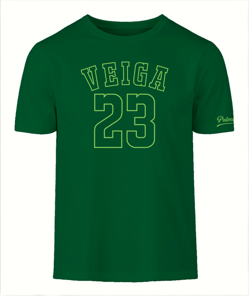 T-Shirt Jogador Palmeiras Veiga Masculina